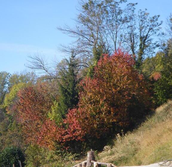 膳宿费 Gîte Le Cerf De Belledonne