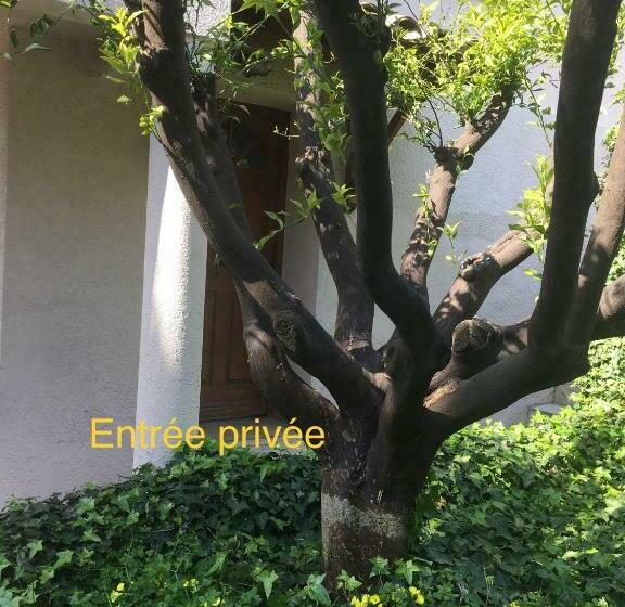 פנסיון La Nectarine