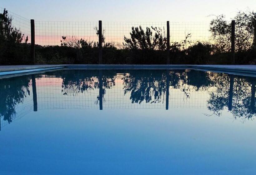 پانسیون Monte Sol Ar Do Farol