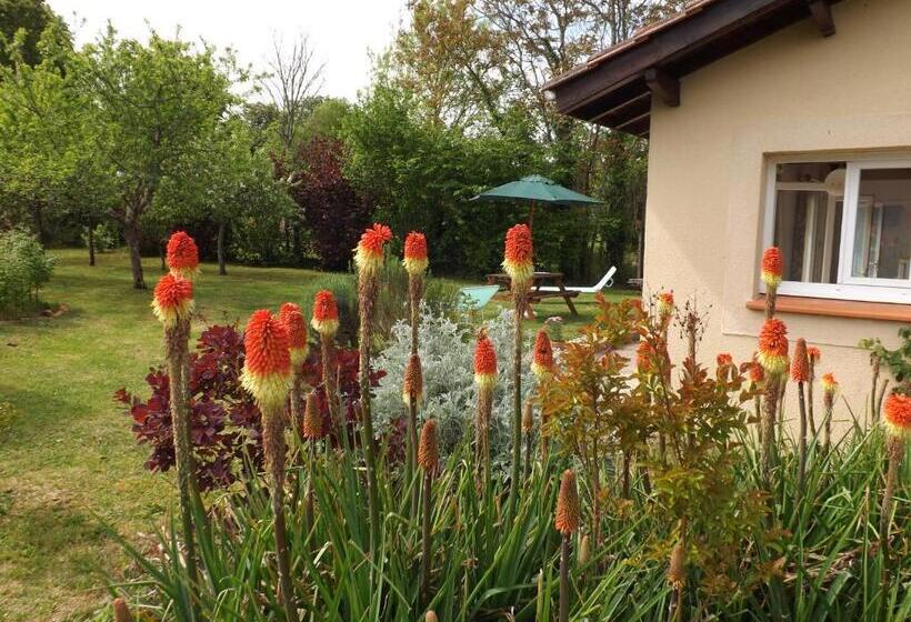 بنسيون Sans Souci