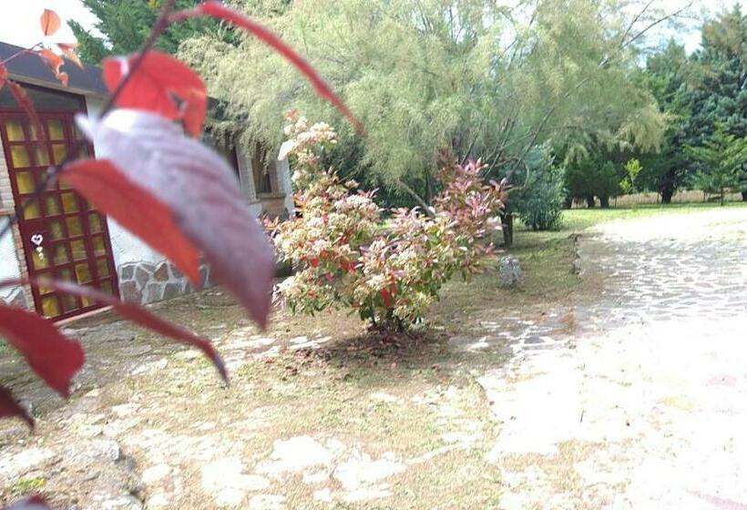 פנסיון Tamerici House