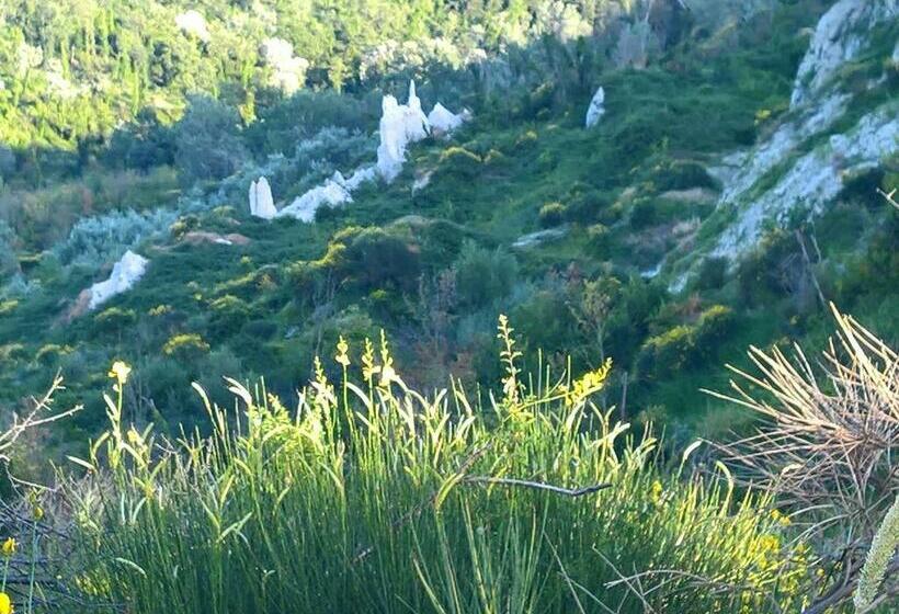 פנסיון Tamerici House