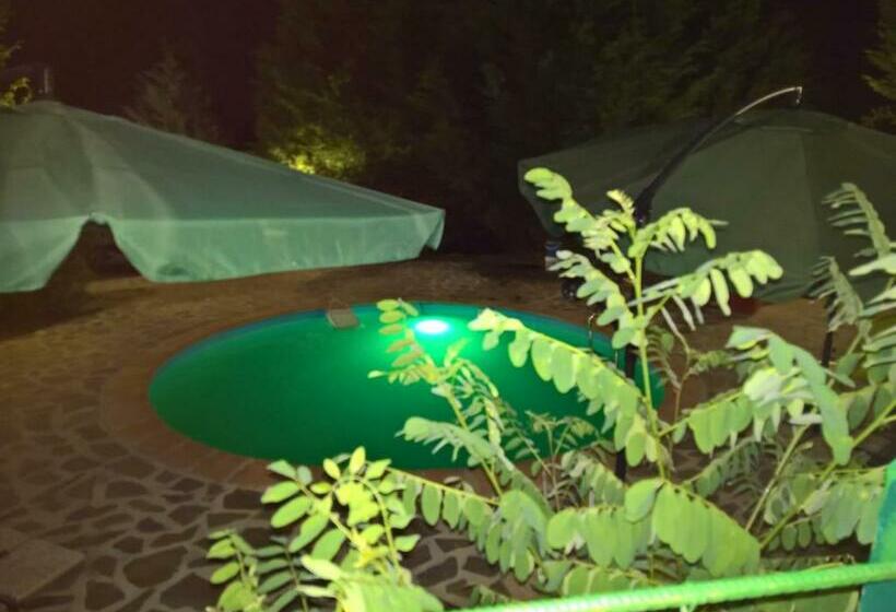 פנסיון Tamerici House