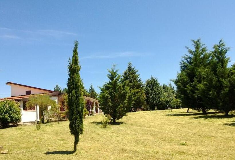 פנסיון Tamerici House