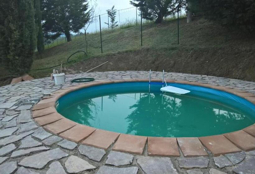 פנסיון Tamerici House