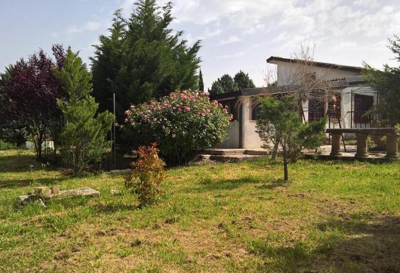 פנסיון Tamerici House