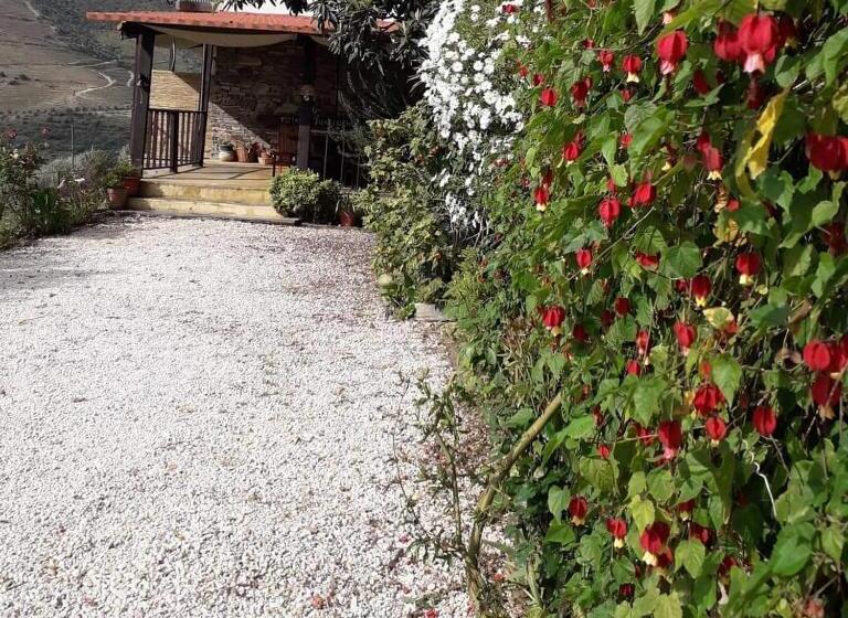 膳宿费 Tomás Barqueiro