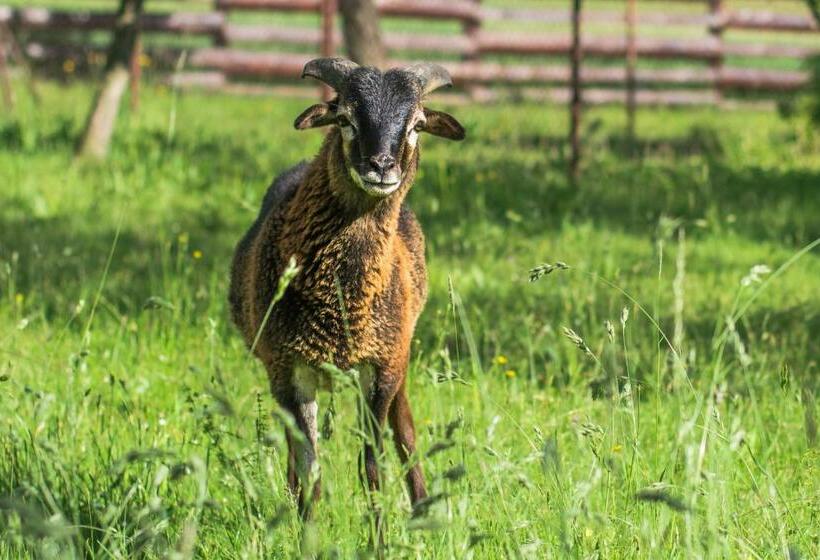 بنسيون Ubytovanie V Súkromí Samuel