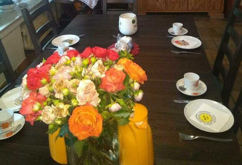 Pension Camping Schausten