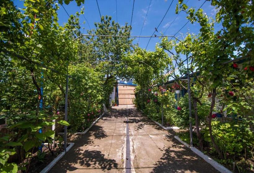 Pensiunea La Gura Portitei   Jurilovca