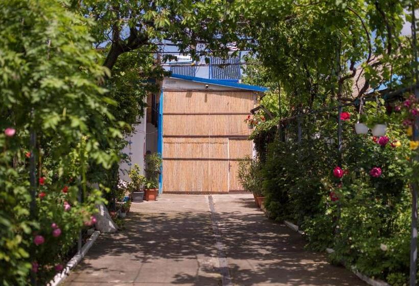 Pensiunea La Gura Portitei   Jurilovca