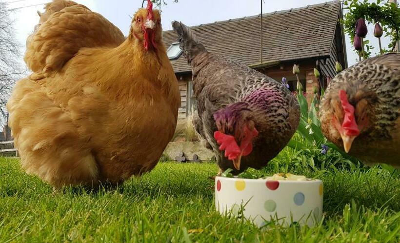 The Dorm Bed And Breakfast