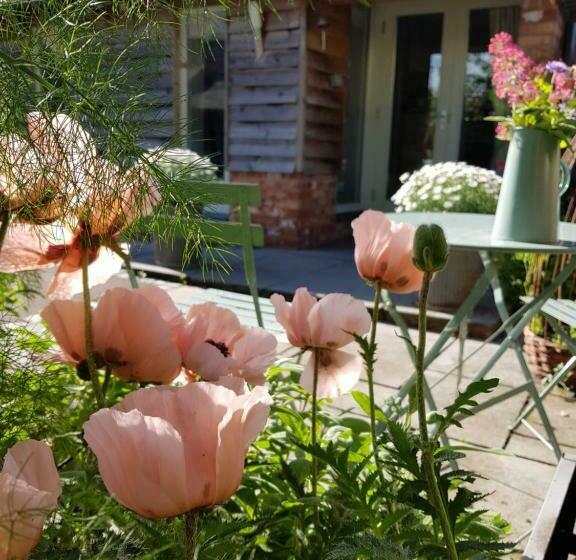 The Dorm Bed And Breakfast