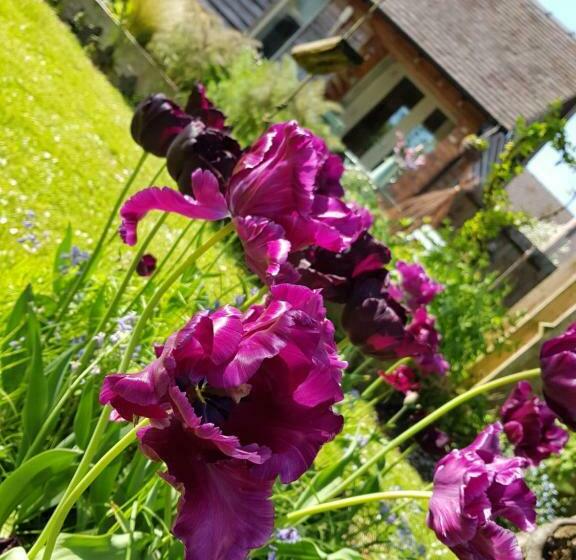 The Dorm Bed And Breakfast