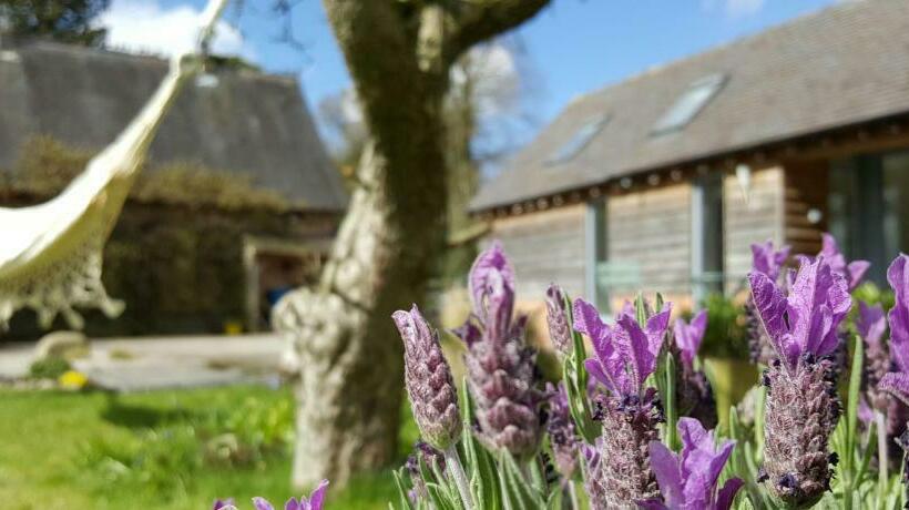 The Dorm Bed And Breakfast