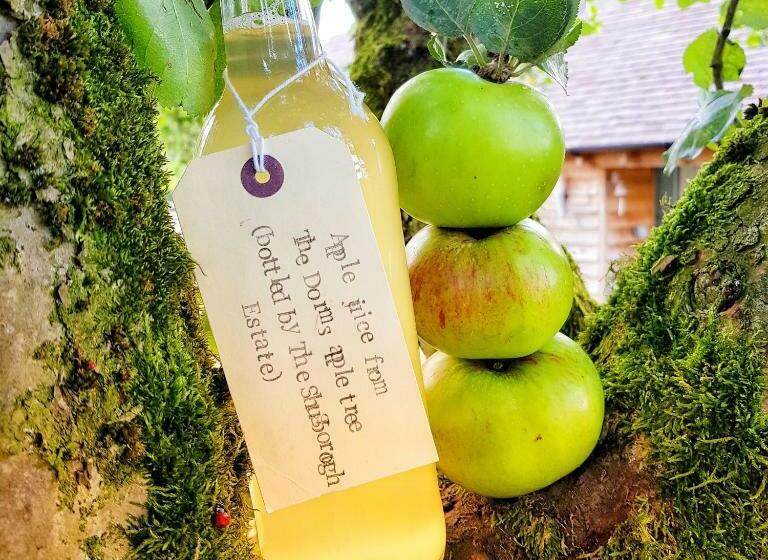 The Dorm Bed And Breakfast