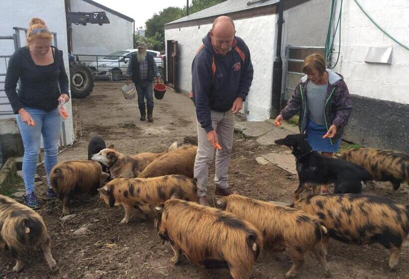 Ty Mawr At Bethania B&b Rooms And Crumble Cottage