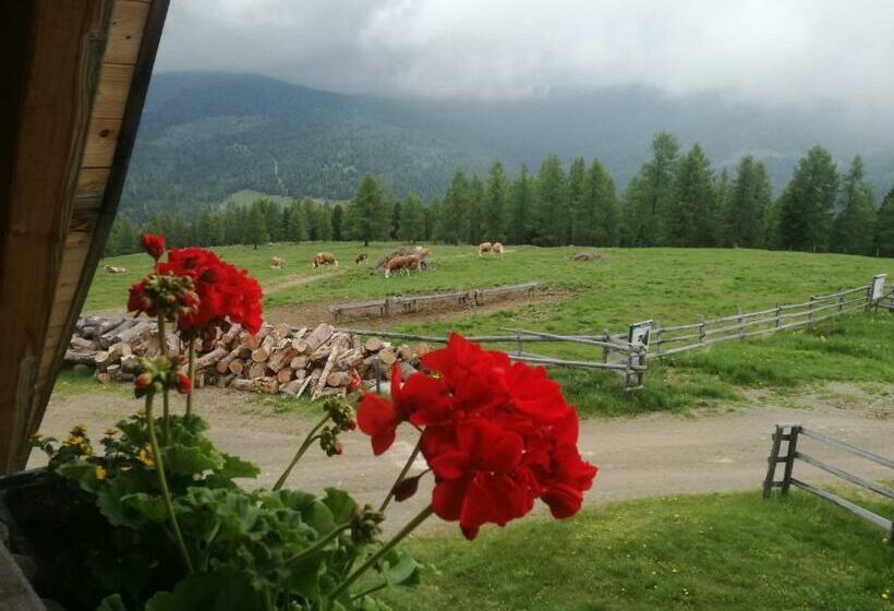 הוסטל Hiasl Zirbenhütte