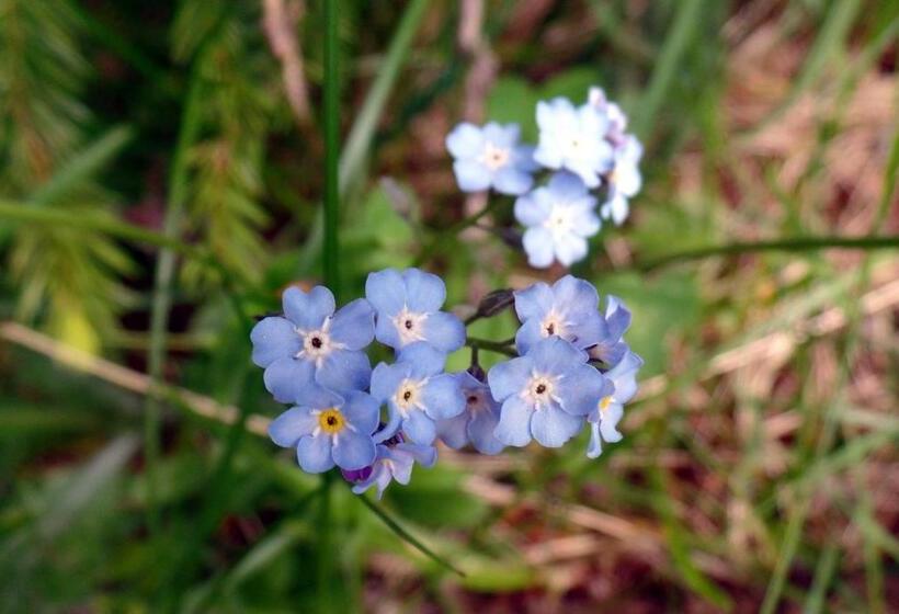 B&b Le Temps D Une Pause