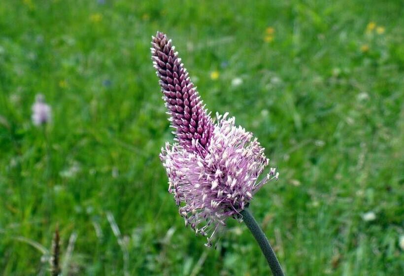 B&b Le Temps D Une Pause