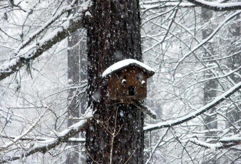B&b Le Temps D Une Pause