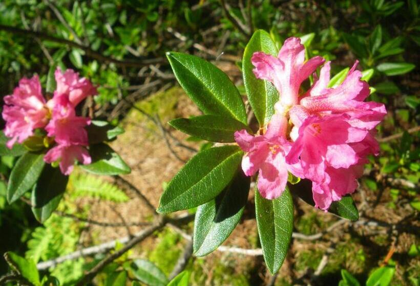 B&b Le Temps D Une Pause