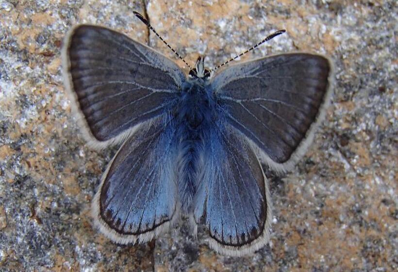 B&b Le Temps D Une Pause