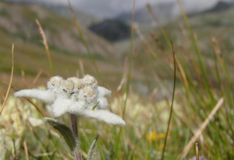 B&b Le Temps D Une Pause