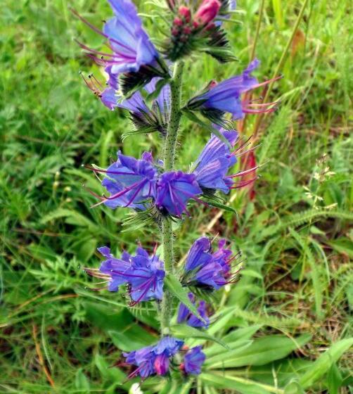 B&b Le Temps D Une Pause