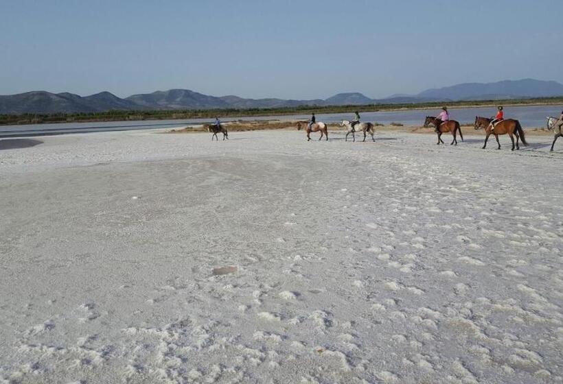 צימר Agriturismo Is Solinas