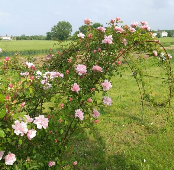 Bed and Breakfast Antico Pioppo