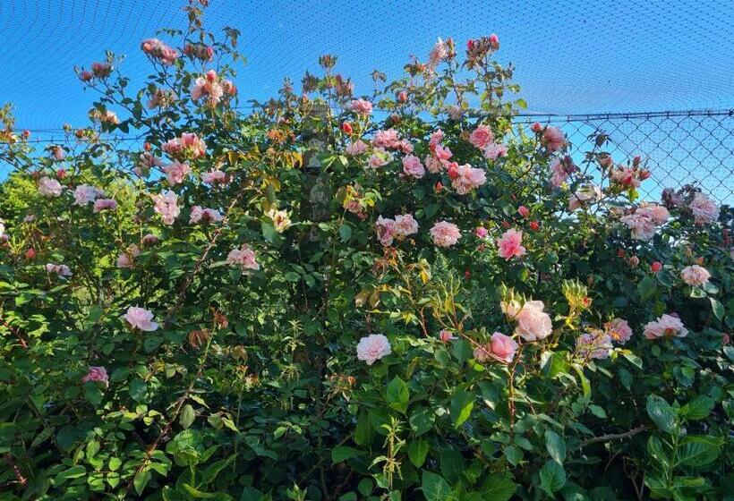 민박 Domaine De La Cour Vautier