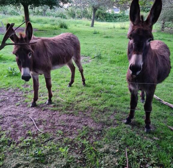 민박 Domaine De La Cour Vautier