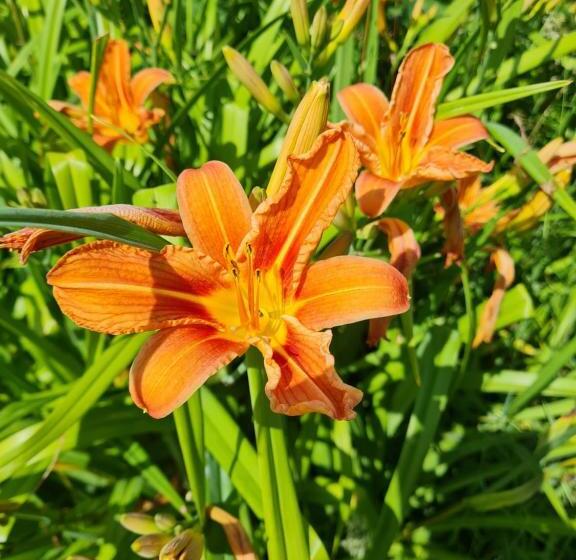 민박 Domaine De La Cour Vautier