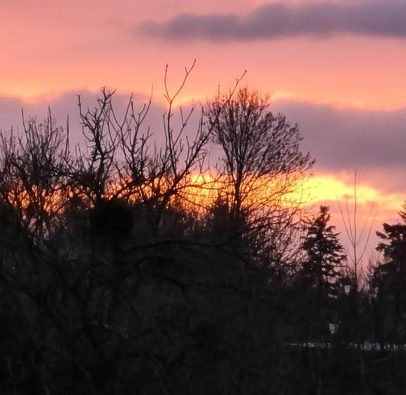 민박 Domaine De La Cour Vautier