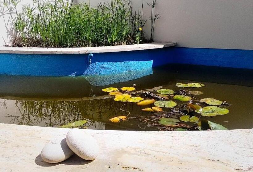 住宿加早餐 Garden House Alla Torre