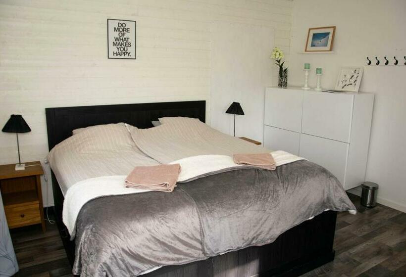 مبيت وإفطار Husky Lodge Hostel