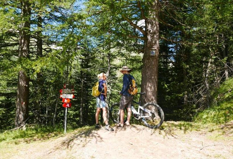 مبيت وإفطار Il Cortese