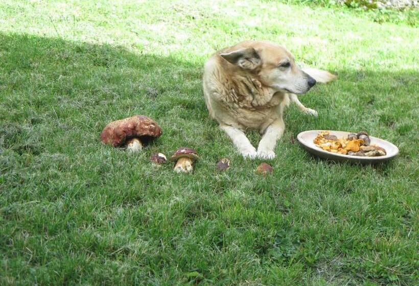 مبيت وإفطار Il Cortese