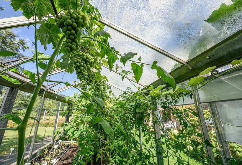 Bed And Breakfast Ineke En John