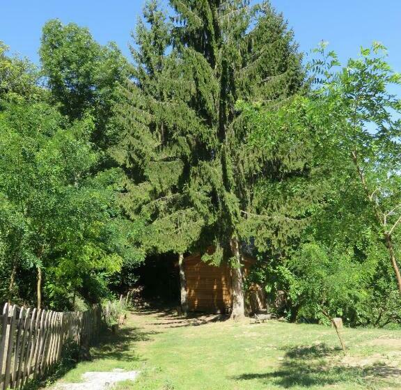 민박 La Cabane Aux Sapins