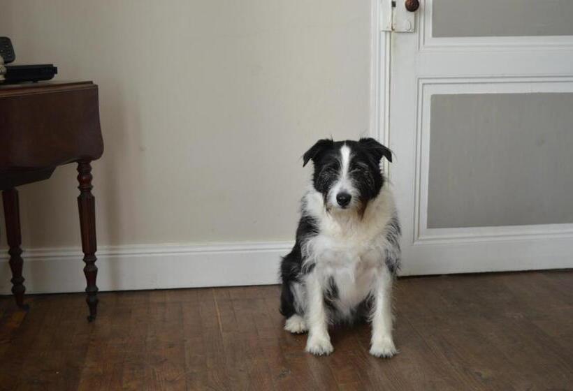 Bed and Breakfast La Vieille Distillerie