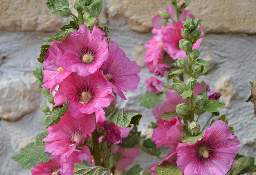 Bed and Breakfast La Vieille Distillerie