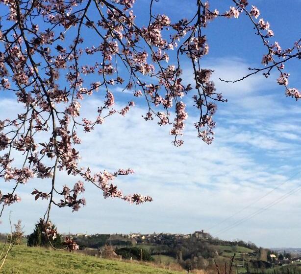 مبيت وإفطار Labarthe