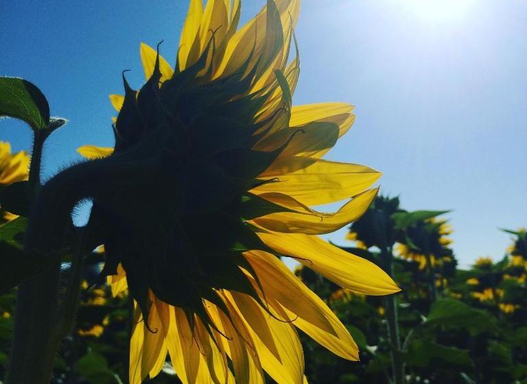 مبيت وإفطار Labarthe