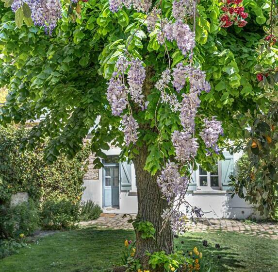 Bed and Breakfast Le Clos Tellier