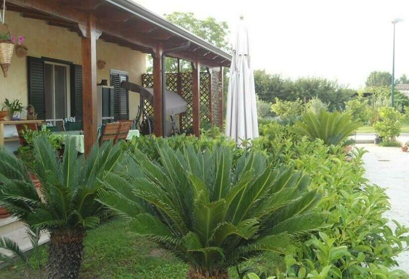 Bed and Breakfast Nenna Country