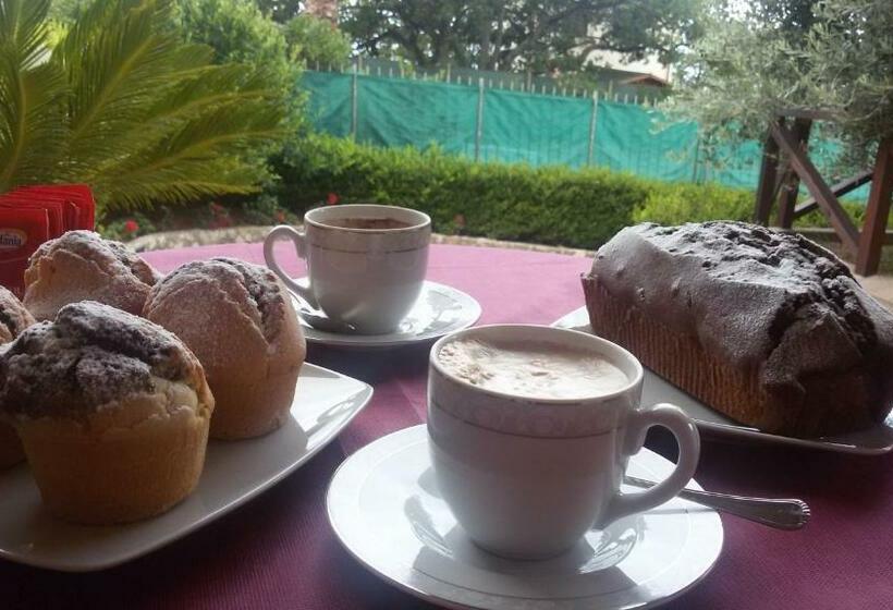 Bed and Breakfast Santa Maria