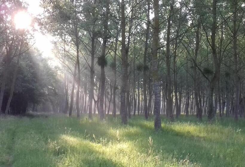 住宿加早餐 Saumur Loire Chambres Et Gîte