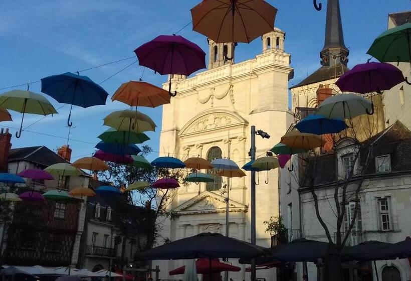 住宿加早餐 Saumur Loire Chambres Et Gîte